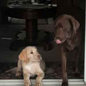 Meet your Posher, Lori